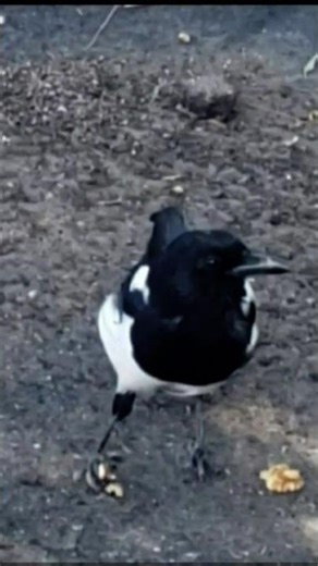 Colorado Springs Photography by Lorie Goetz