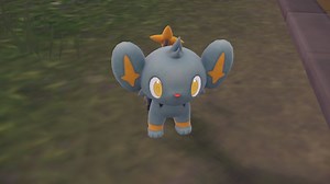 Where to Find & Catch Shinx in Pokemon Scarlet & Violet