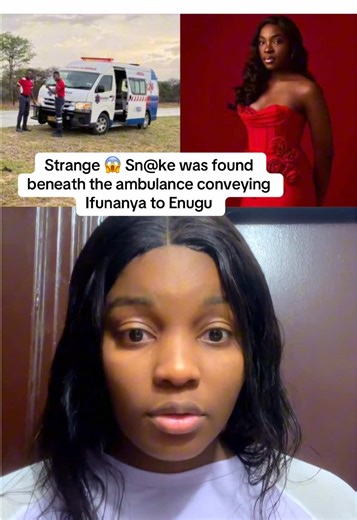 Strange Incident: Snake Found Under Ambulance in Enugu