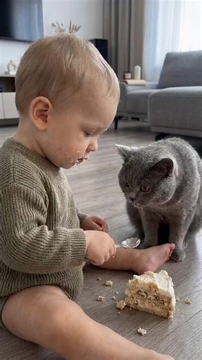 #foryoupage #funny #viral #cat #fyp | cat