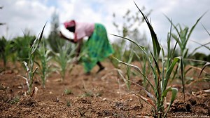 Farming to survive in Kenya – DW – 12/06/2018