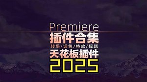 PR插件合集一键安装版！PR所有插件一键搞定！大部分都是汉化中文版！