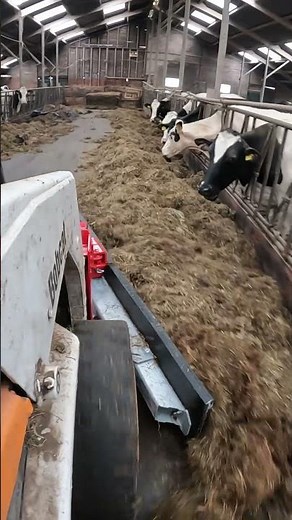 Feed pushing| Kemp | skid steer attachment