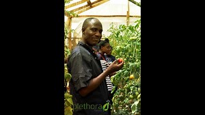 70K views · 758 reactions | PRACTICAL FARM TRAINING 2.0 What to...