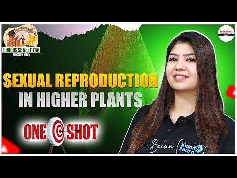 Sexual Reproduction in Higher Plants Explained: NEET 2026 || ‪@SriChaitanyaAcademyNEET‬