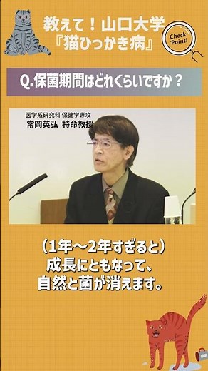 〜猫と人が、もっと安心して暮らせる未来へ〜『教えて！山口大学』猫ひっかき病Q &A