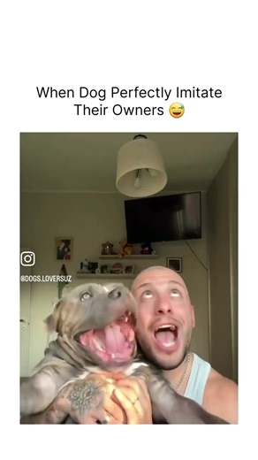 Hilarious reactions Magic vs Dogs 🪄🧙‍♂️vs 🐕🐶 (Part 48)