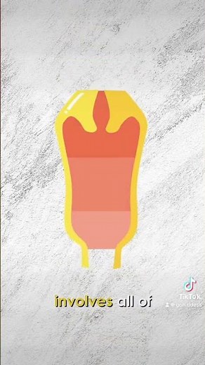 😈pompoir is the art of controlling the vaginal muscles to create pleasurable techniques #booktok