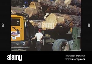 1950 - A crane is used to lift pine logs off a truck Stock Video Footage - Alamy