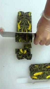 Matcha & Mango Handmade Treat – Balanced Flavor #snowflakecrisp #howtomakechocolateathome