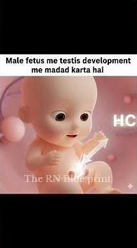 HCG Hormone Explained | Function, Normal Values & Importance in Pregnancy