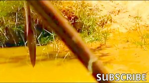 snake attack on monkey , real python vs monkey fight, brave boys rescue monkey, huge snake, beautifu