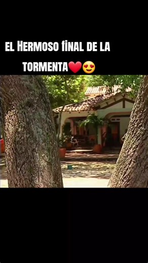 El hermoso final de la tormenta: Celebraciones y bebés