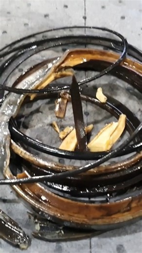 A closer look at worn hydraulic seals