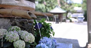 A water fall with hydrangea flowers at the purification trough in summer focusing