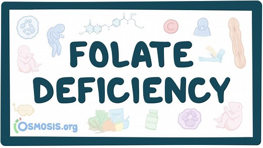 Folate (Vitamin B9) deficiency: Video, Causes, & Meaning | Osmosis