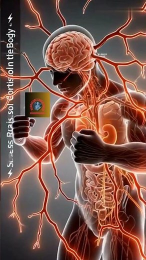 Stress Reaction ⚡ Cortisol in the Body – 3D Human Anatomy Animation