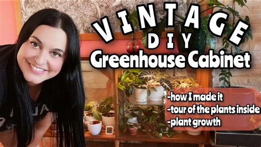 DIY indoor greenhouse cabinet: Affordable & functional