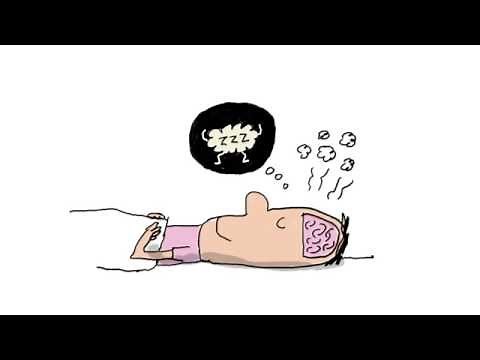 À quoi ça sert de dormir ? - 1 jour, 1 question