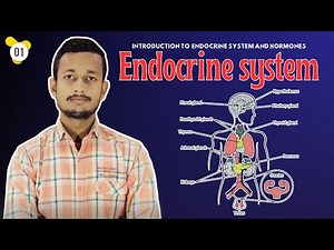 Introduction to Endocrine System| Hormones, Feedback Mechanisms & Functions | Anatomy & Physiology
