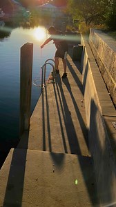 Same same but different #marron #lobster #crayfish | Thiskidmad