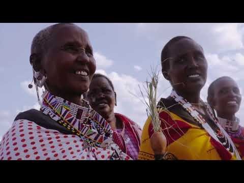 Amref Health Africa – Empowering access to healthcare with evidence-based decision-making.