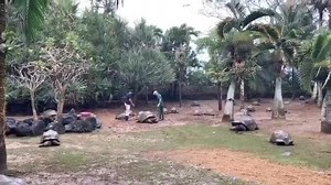 95 reactions | La Vanille Nature Park on Reels | Facebook