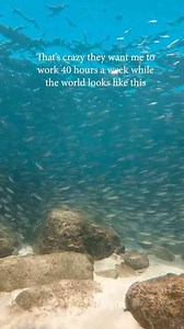 They Can’t Make Me Go to Work | Funny Work Struggle