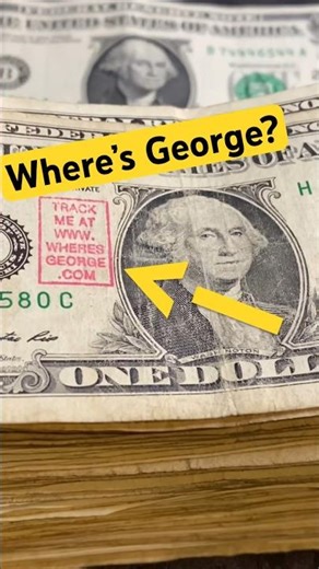 How To Track A Where’s George Washington Dollar Bill #youtubeshorts #track #dollar #money