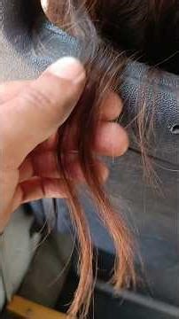 hair video 871 (part 1)