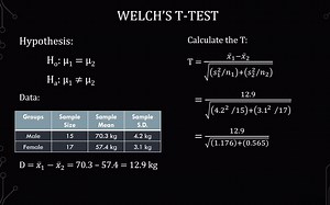 Welch's T Test