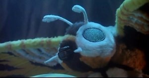 Rebirth of Mothra! Mothra rises to battle against Desghidorah! #rebirthofmothra #rebirthofmothratrilogy #mothra #mothraleo #desghidorah #tohostudios #tokusatsu #daikaiju #kaijueiga #mothraguardianofpeace #mothraleovanguardofprosperity #desghidorahthesuperdarknessdragon #mothramovie #mothrasong | Kaiju Kombat