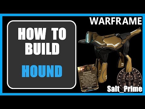 Hound - How to Build & Gameplay - Warframe - 2024