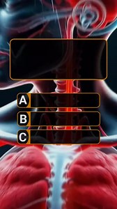 2M views · 32K reactions | Quiz Time  #fy #fyp #fyp #fypviral #foryoupage #explorepage #animal #general #usa #triviagame #triviatime #english #gk #knowledge #language #brainchallenge #brainchallenge #gk #question #quiz #QuizTime #Mindblowing #geography #thinking #history #exploring #math #quizchallenge #explore #highlights | Viral Vibe | Facebook