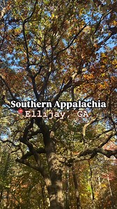 21K views · 308 reactions | Greetings, fellow travelers! Welcome to...