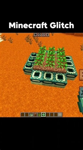 Minecraft Insane Glitch...