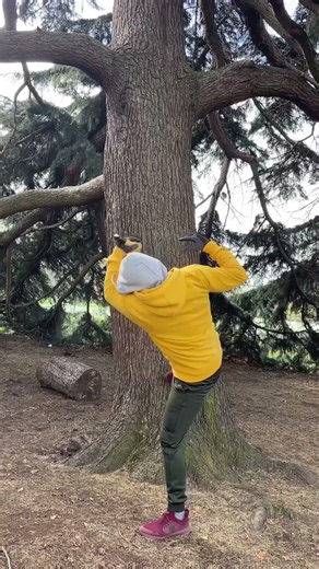 Trunk rotation in tilted position #strengthcoach #exerciseideas #nogymrequired
