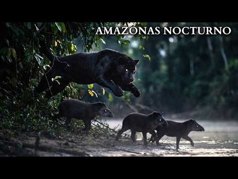 NOCTURNAL AMAZON | Predators That Are Lethal in the Dark | Animal Documentary