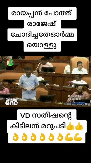 Inside a Legislative Assembly Session: A Closer Look