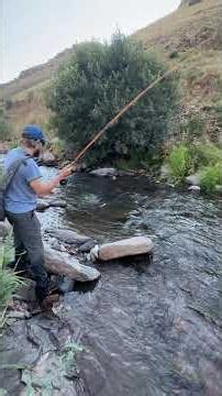 Fly fishing ile dere avı(yapay sinek balıkçılığı) #fishing #flyfishing