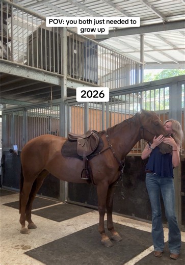 Understanding the Size of the Big Bus