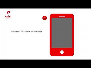 MICRO MERCHANT: How to check for your till number