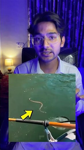 Why Water Snakes Move toward You?🐍😳 #shorts #watersnake #snake #ytshorts #facts