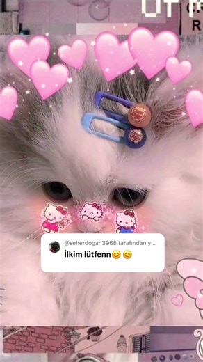 🥰💝💖💕💜💘💞💓🩷🤍🎀😘✨