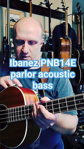 Ibanez PNB14E parlor acoustic/electric bass 1-minute tour #gearreview