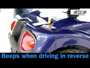 Golden Companion Training Video