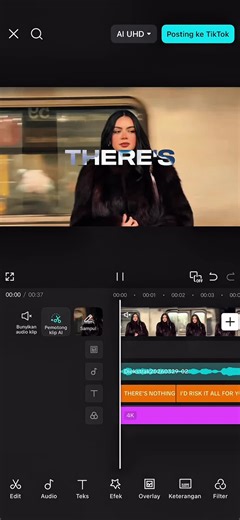 Risk It All x Fly Love CapCut Template