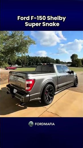 There Is Nothing Like A Ford Shelby F150 Super Snake! #shelby #ford #trucks #streetrucks #shorts
