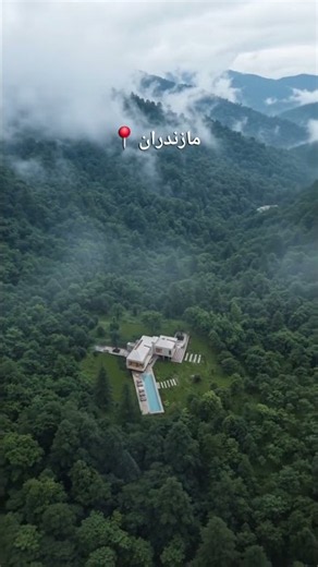 Would You Live Alone in This Forest? 🌲 #architecture #short