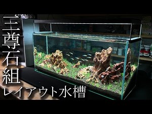 [Japanese Garden Style] Professionally set up a 60cm layout aquarium with Sanzon Iwagumi! in Eart...